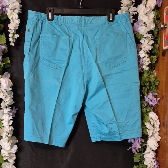 Ruby Rd. Bright Turquoise Shorts - Picture 3 of 3